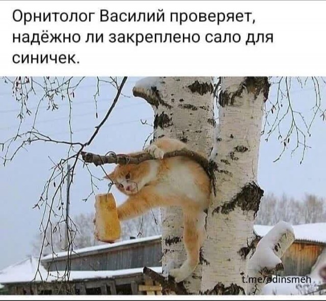 Немного картинок для настроения