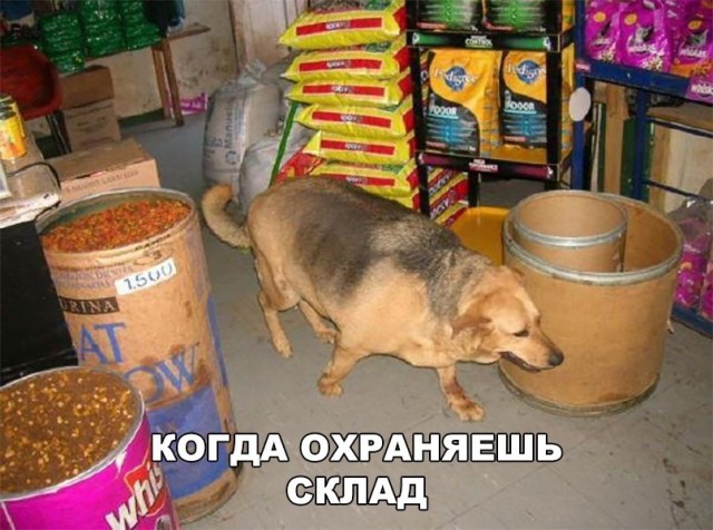 Так себе картинки 06.06.23