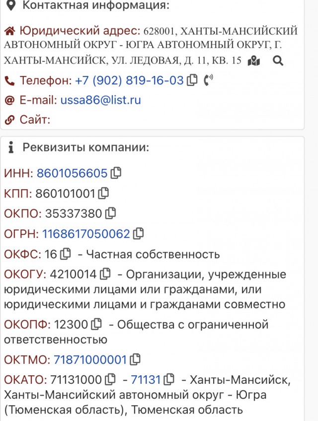 Найдена компания с самой большой  годовой выручкой в РФ.
