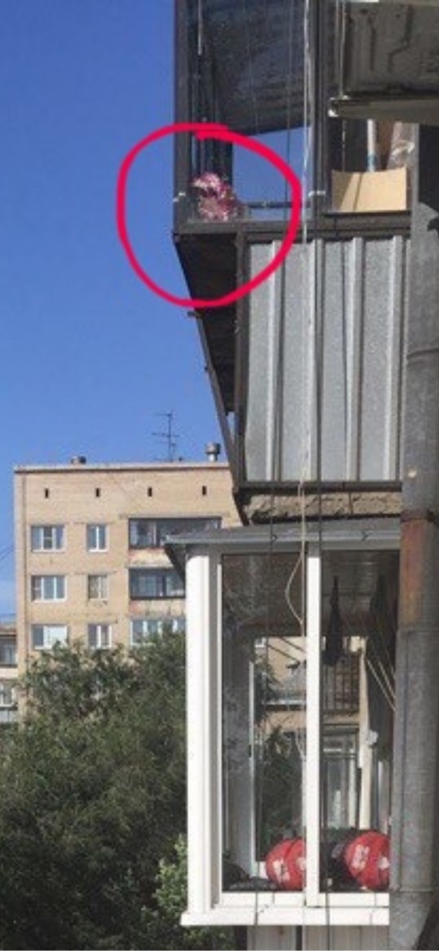 "Вышел на балкон. Не пойму, что с соседкой?"