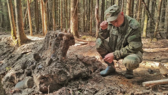 Небесная "Буря". Тайна синявинских лесов