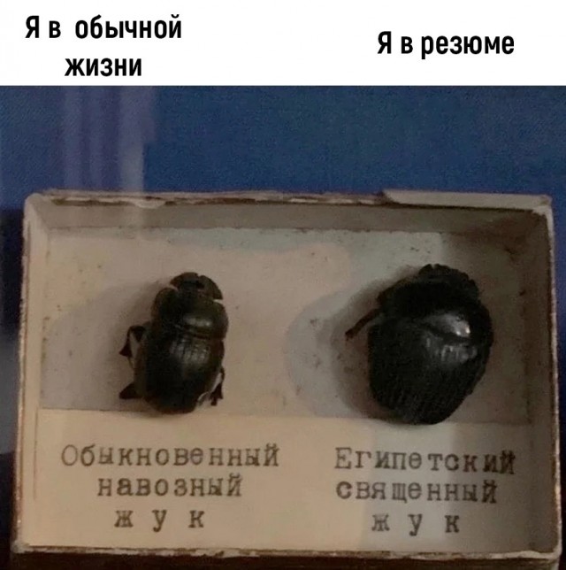 Так себе картинки 03.12.23