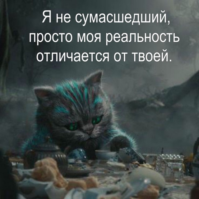 Дурдом - Бояны
