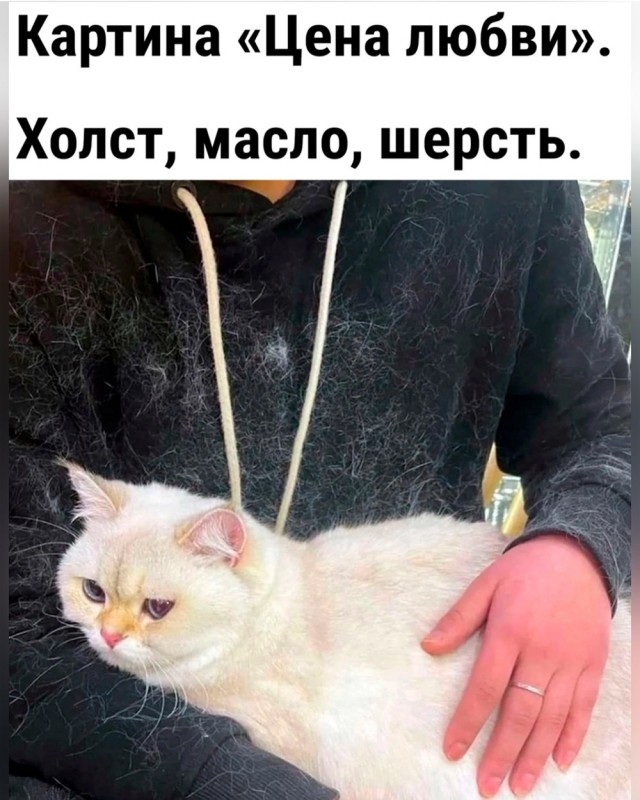 Быстрая деградация. Номер 7