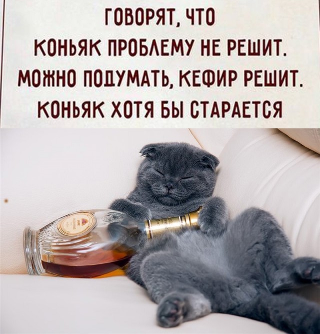 Так себе картинки 17.10.24