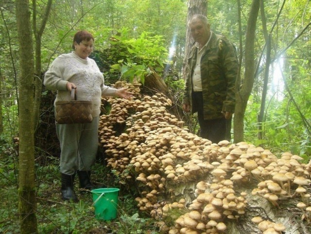 Прикольные и просто красивые картинки 21.02.2025
