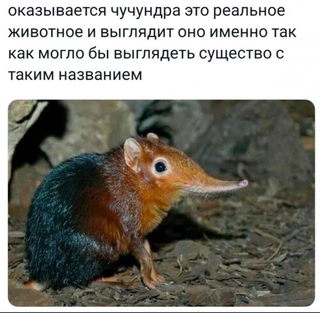 Все мемы твое выражение лица - Рисовач .Ру