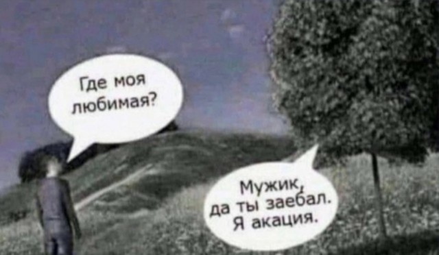 Так себе картинки 27.03.25