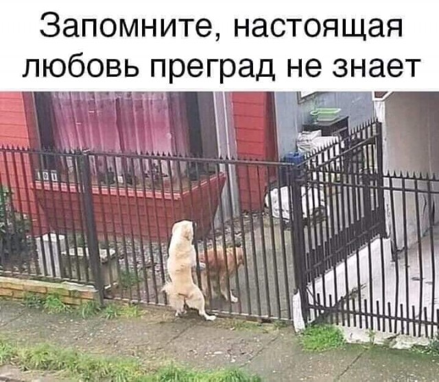 Прикольные и просто красивые картинки 08.05.2025