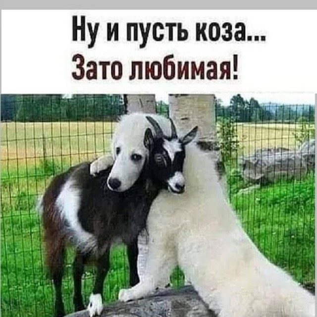 Так себе картинки 20.05.25