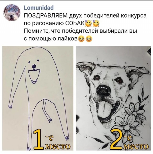 Давно не было....