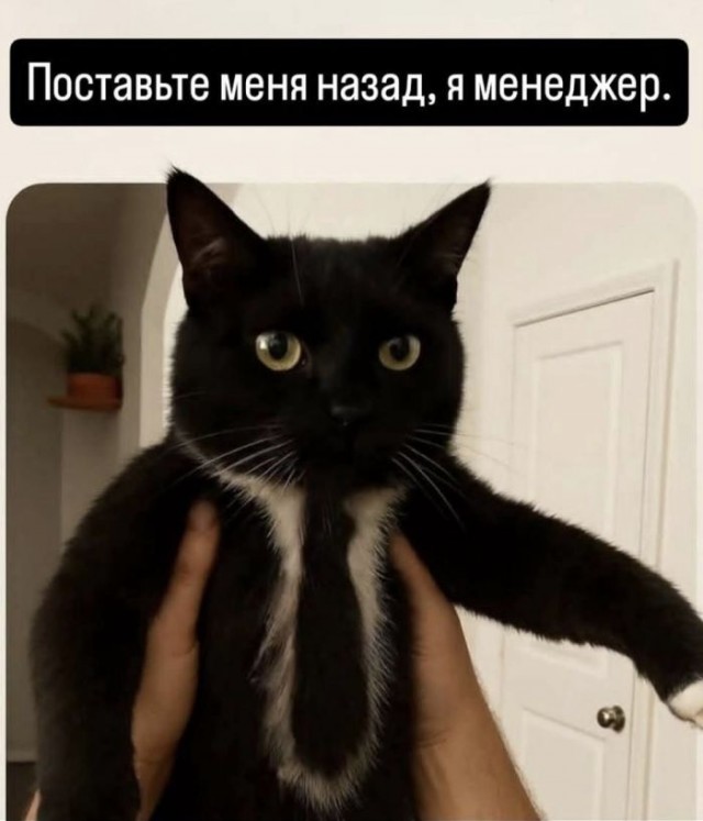 Картинки для деградации 72 (разной степени свежести)