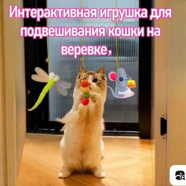 Субботние картинки