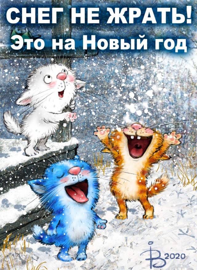 Прикольные и просто красивые картинки 09.12.2025