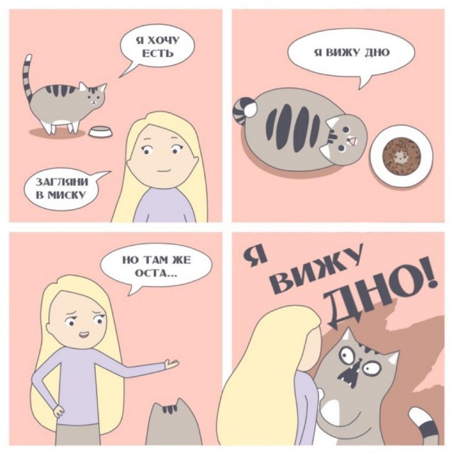 Происхождение человека. Котоверсия