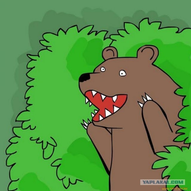 Просто кость широкая