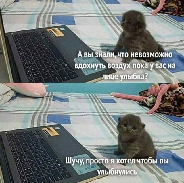 Картинки на 27.02.2026