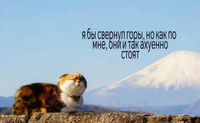 Картинки для деградации 201 (разной степени свежести)