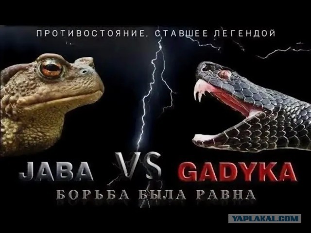 Зеленский почтой вернул Польше орден Белого орла