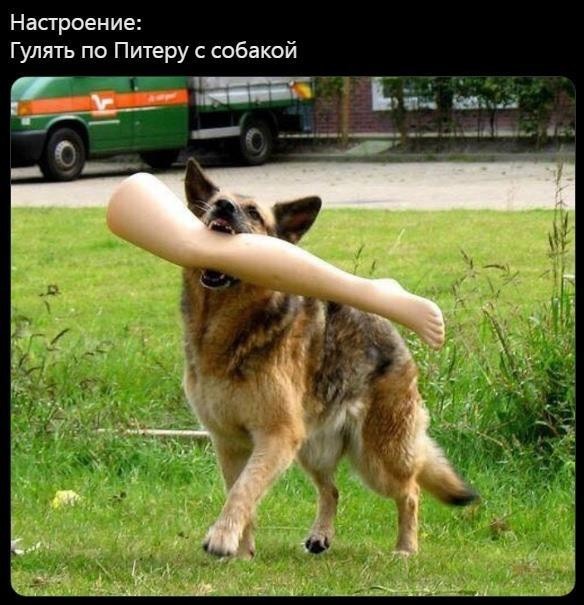 Без слов...