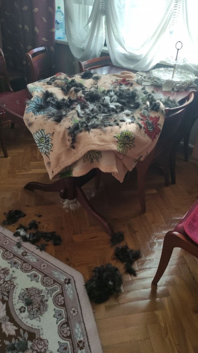 Чесалка.