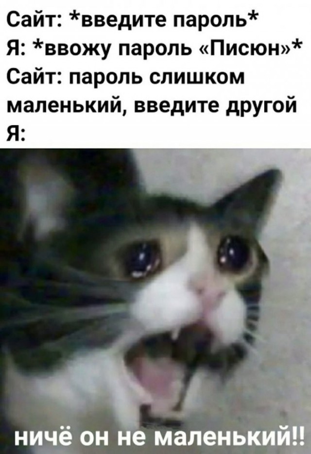 Веселые картинки в пятницу (04.09)
