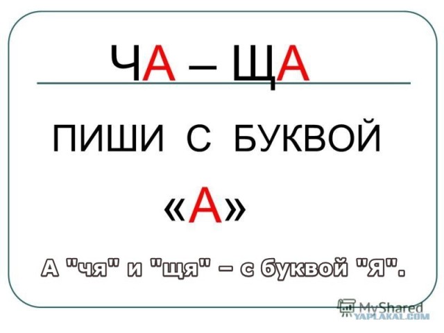 В Питере студентка три недели проучилась в университете им. Герцена, взяла кредит на учёбу, а потом