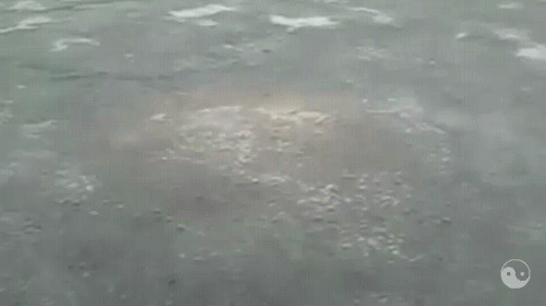 Нырнул 31-го...