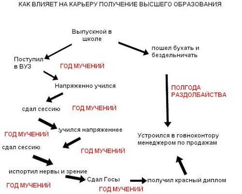 Образование и карьера