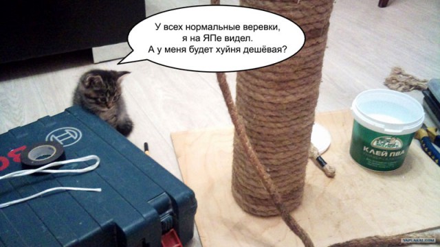 Домик для котэ