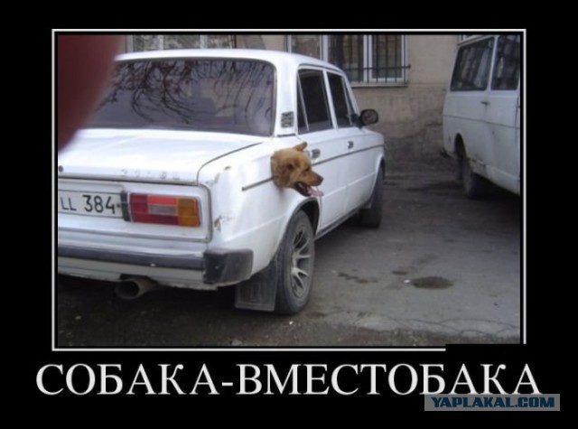 Подборка автоприколов