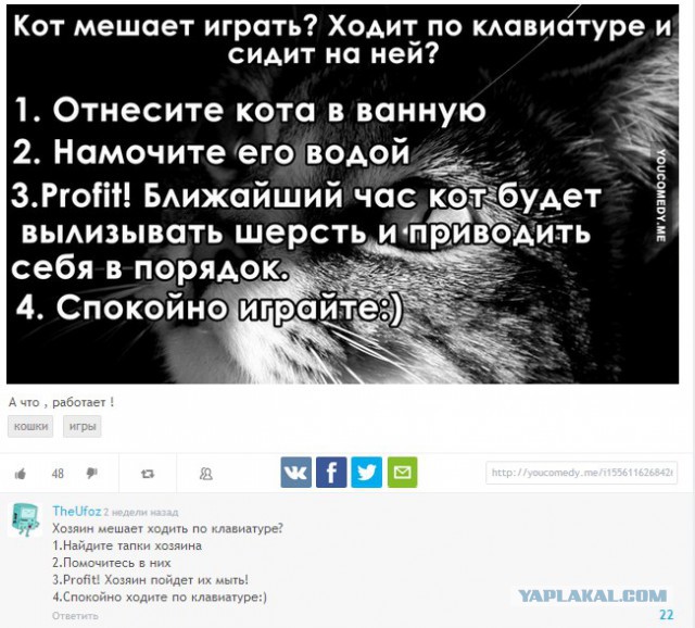 Смешные комментарии из социальных сетей