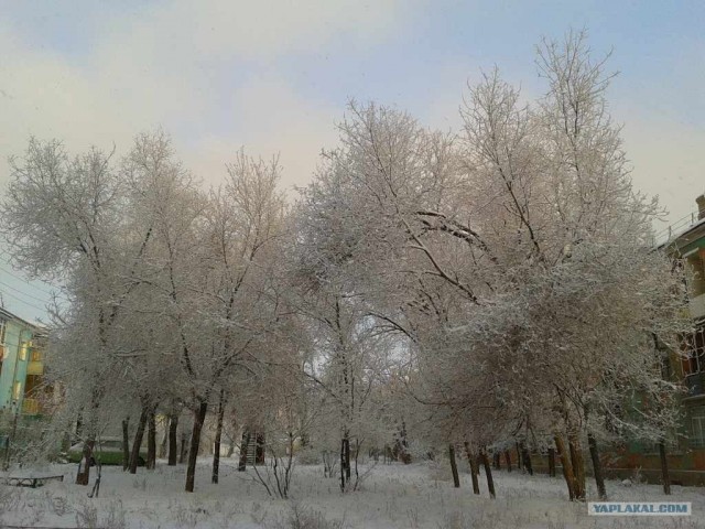 Для скучающих по снегу