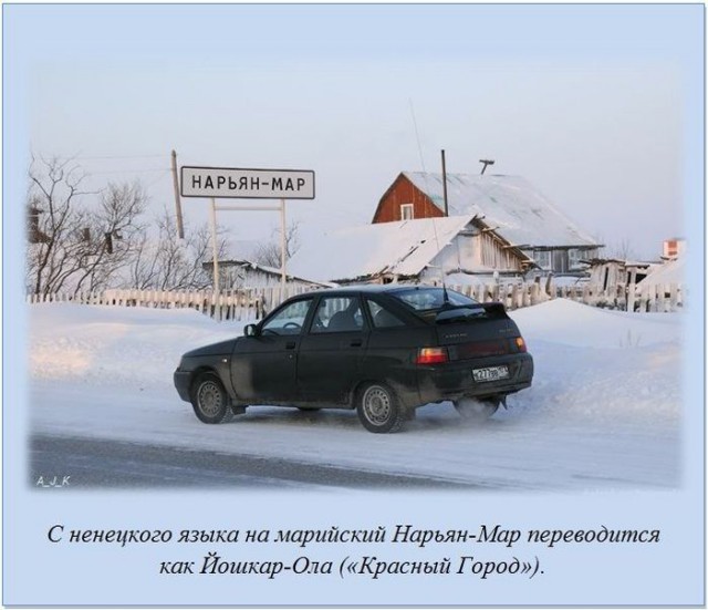 20 фактов обо всем