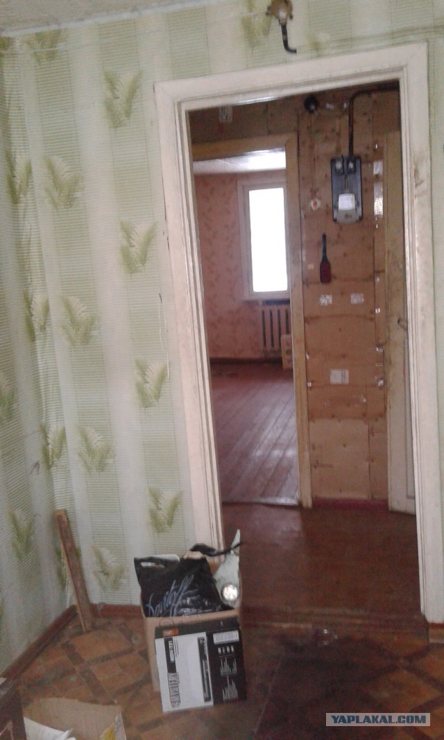 Лёха, вставай!