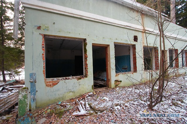 Артек, "ужасы" российской действительности