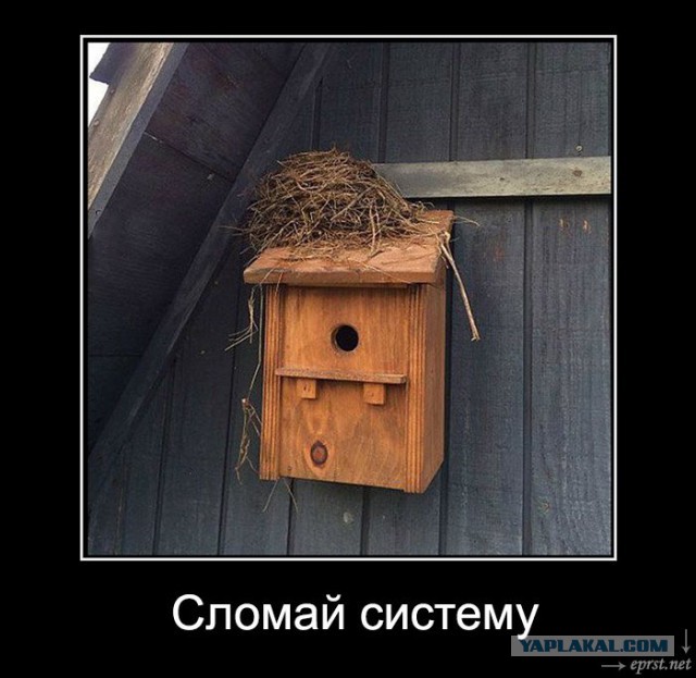 Сломай систему!