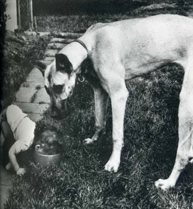 Подборка интересных и веселых картинок