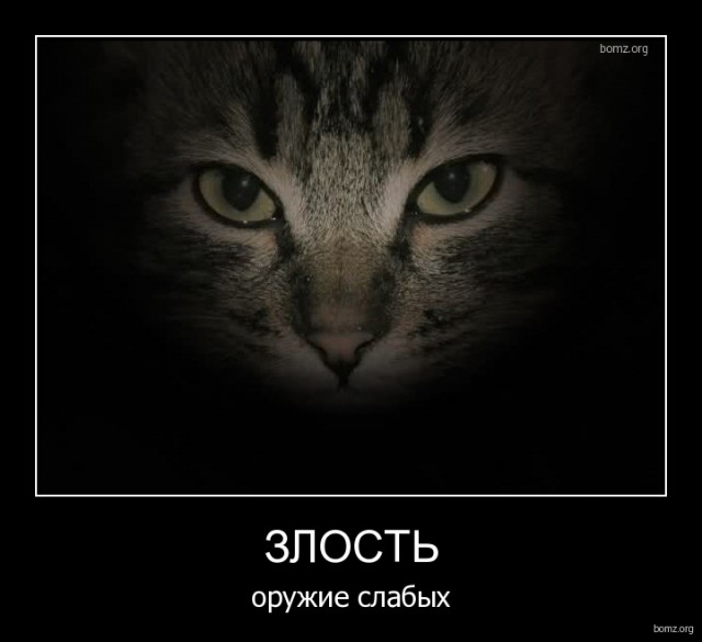 Картинки из сети