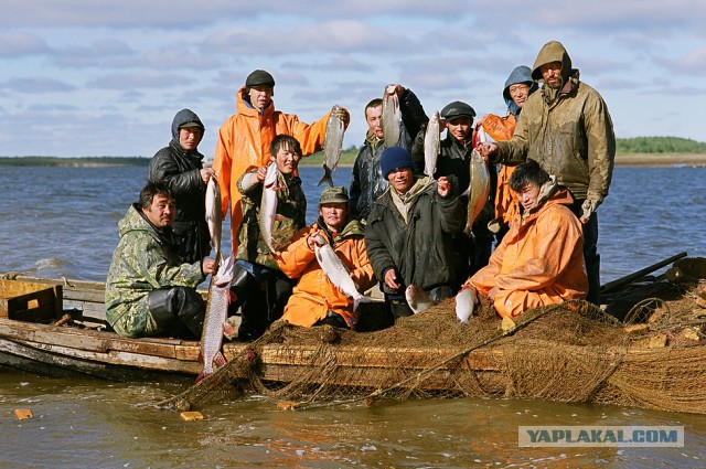Рыбалка на Севере