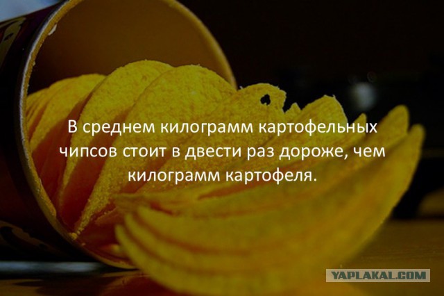 39 интересных фактов в картинках