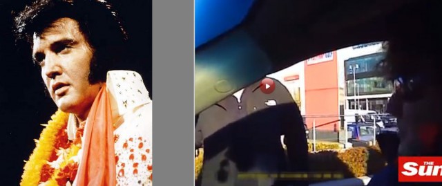 Объект нападения оказался не из робких