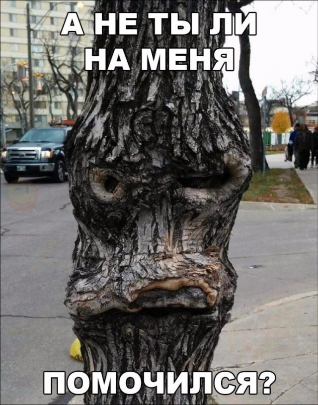 Подборка безудержного веселья