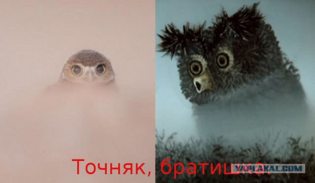 Подборка интересных и веселых картинок