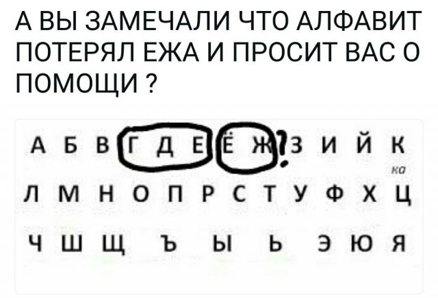 Девушка залила номер отеля кровью, сев на ежа, который спрятался у неё в подушке