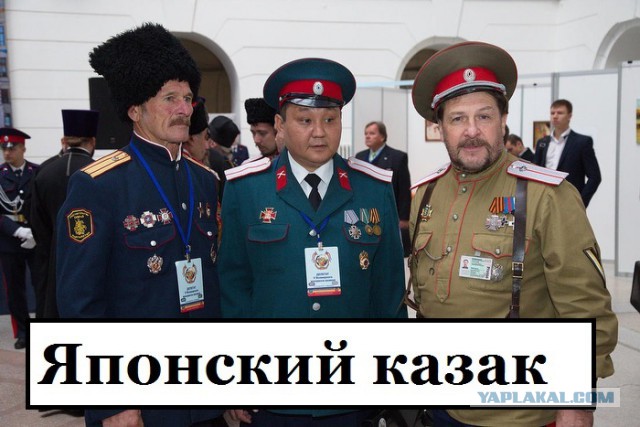 Что вы знаете о понтах?