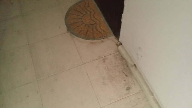 Соседи и их привычка ставить пакеты мусора в подъезде