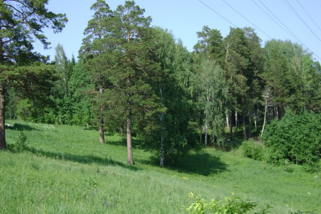Новосибирск