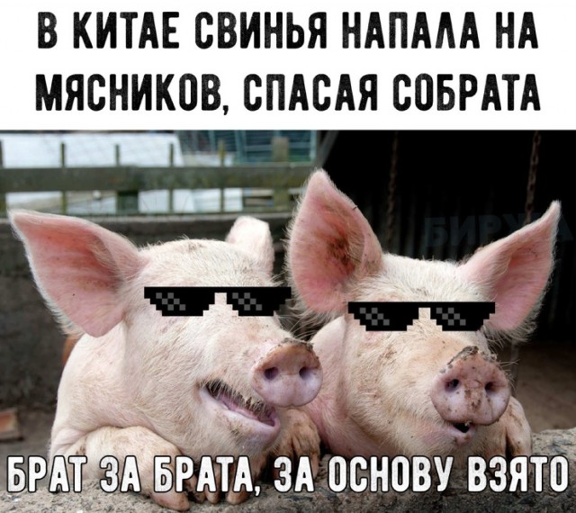 Нестандартный юмор