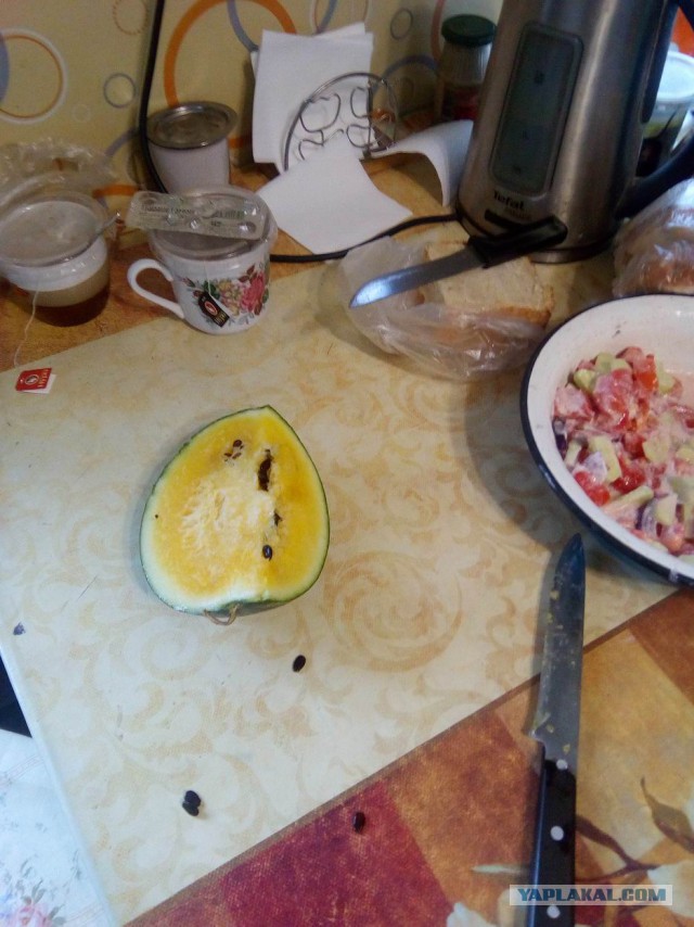 Я лучше куплю, говорят они